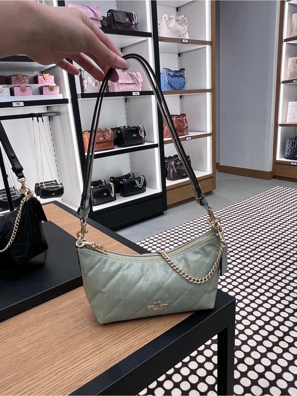 NWT Coach Caitlin Shoulder Bag